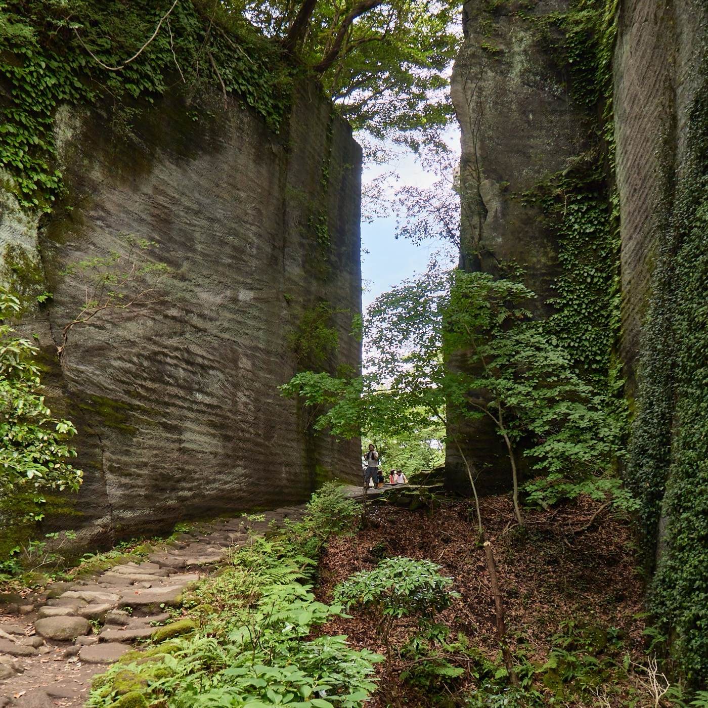 Sheer walls of the old Boshu-stone quarries on Mt. Nokogiri